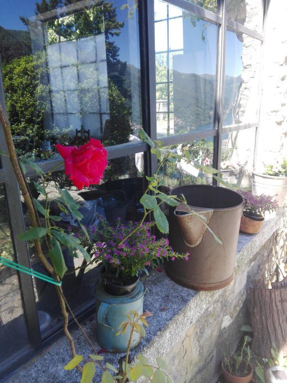 Sweet Home Faggeto Lario Ngoại thất bức ảnh
